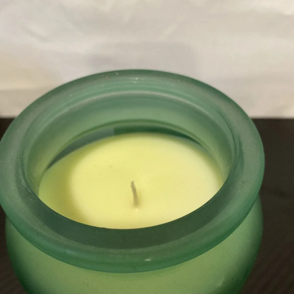 Trueliving Salt Air & Sand Scented Candle 15 oz Green‎ Jar